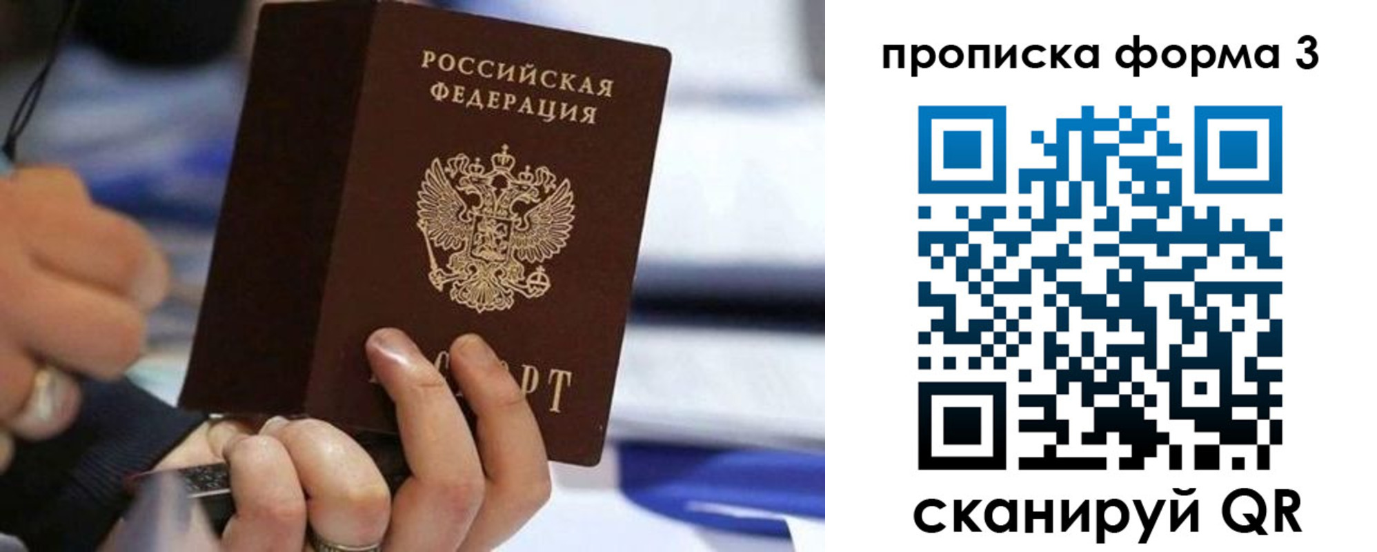прописка штамп в Светлогорске